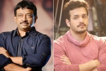 Annapurna Studios, Akhil 4, ram gopal varma to direct akhil, Rgv twitter