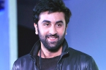 Ranbir Kapoor updates, Ranbir Kapoor latest, ranbir kapoor s cameo in srk s next, Ae dil hai mushkil