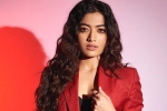 Benchmark Talents, Rashmika and Manager controversy, rashmika mandanna clears air, Animal film