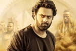 Saaho updates, Prabhas, saaho first week telugu collections, Evelyn sharma