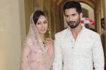 Shahid Kapoor baby name, Shahid Kapoor baby pics, shahid kapoor s baby not named yet, Mira rajput