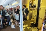 Singapore Airlines turbulence horror news, Singapore Airlines accident, one dead and 30 injured in singapore airlines turbulence horror, Singapore airlines accident