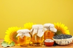 Sunflower Oil medication, Sunflower Oil medication, long term effects of consuming sunflower oil on heart health, Acting