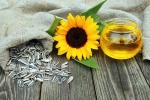 Sunflower seeds, Sunflower seeds for health, sunflower seeds and their nutritional benefits, Sunflower seeds