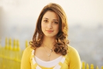 Tamannaah latest, Tamannaah updates, tamannaah locked for a bollywood remake, Milky beauty