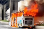 Thailand Bus Crash news, Thailand Bus Crash news, thailand bus crash almost 25 children feared dead, 20 dead