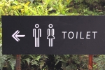 public toilet, public toilet, 6 things you should never do in a public toilet, Paper towel