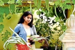 jyothy in farming, jyothy in farming, this nri in qatar keen on farming is going green, Ty morin