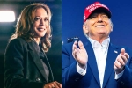 USA Elections 2024, Donald Trump Vs Kamala Harris fight, who has the edge in a thrilling us election race, Ap by polls