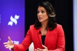 google, gabbard, u s presidential candidate tulsi gabbard sues google for hindering her campaign, Hawaii