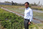 national centre of organic farming - (ghaziabad) ghaziabad, regional centre of organic farming panchkula, this u s return mba graduate is transforming a village barren land into an organic farming facility, Yamuna