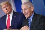 Anthony Fauci, Donald Trump, us could start reopening in may anthony fauci, Gasoline