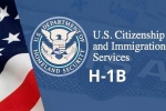 USICS report on Indians, USICS report on Indians, uscis report claims more than 74 percent of indians accounted on h1b visas, Up government report