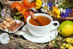 Uric Acid Management, Uric Acid Management experts, managing uric acid naturally with ayurvedic herbal teas, Immune system