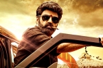 Veera Simha Reddy in AP, Veera Simha Reddy news, veera simha reddy sankranthi weekend collections, Varalaxmi sarathkumar