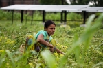 punjab, NRIs in Punjab, villagers in punjab relying more on nris for development than on politicians, Female students