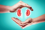 World Kidney Day 2025 experts, World Kidney Day 2025 to be taken, world kidney day 2025 theme and health tips, Nut