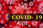 Coronavirus, COVID- 19, who renames the deadly coronavirus as covid 19, Swine flu