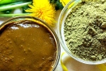 Henna latest updates, Henna benefits, how henna helps for hair growth and health, Dandruff