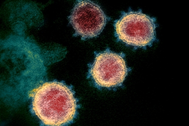 One More New Variant of Coronavirus Traced in Columbia