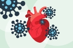 scientists, coronavirus, covid 19 can lead to heart complications not found in any other disease study, Cardiac arrest