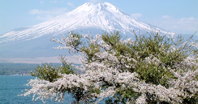 Japan&#039;s Mount Fuji honoured World Heritage status!},{Japan&#039;s Mount Fuji honoured World Heritage status!